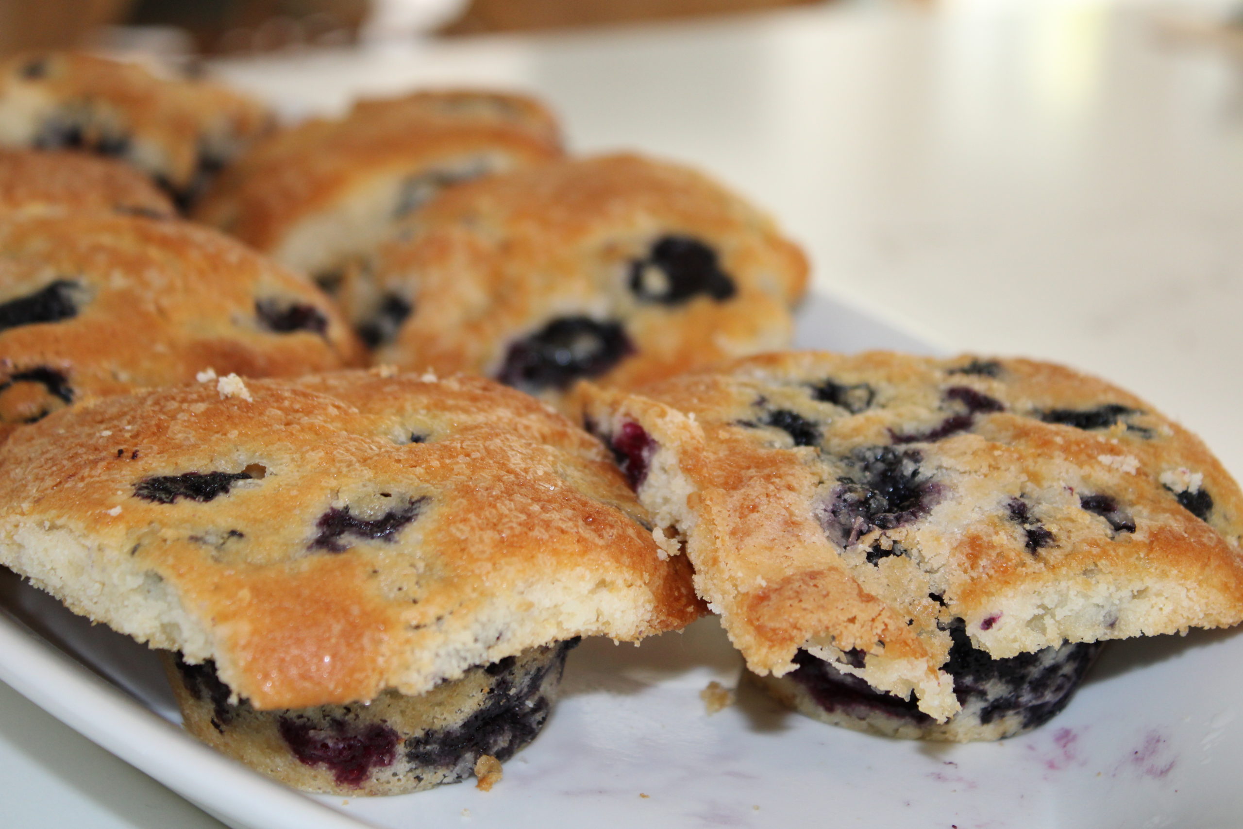 Jordan Marsh’s Blueberry Muffins